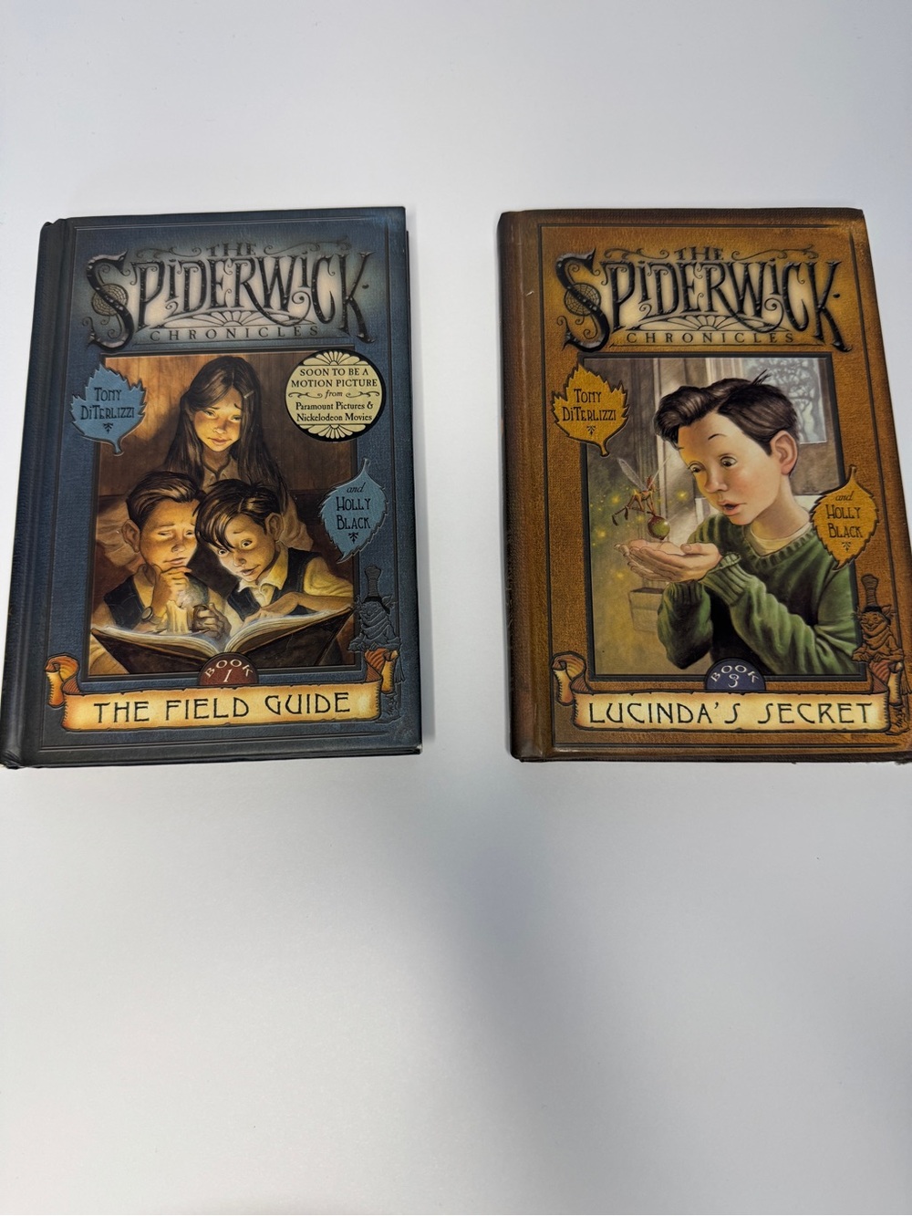 The Spiderwick Chronicles - The Field Guide (Book 1) & Lucinda's Secret (Book 3)